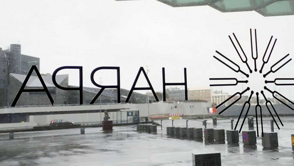 Случай в Рейкьявике. 