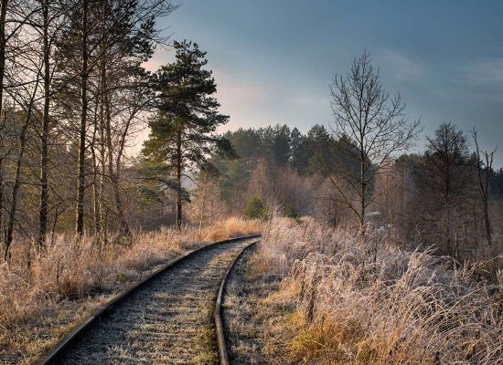 Золотая осень